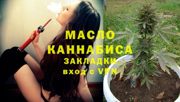 гашик Пересвет