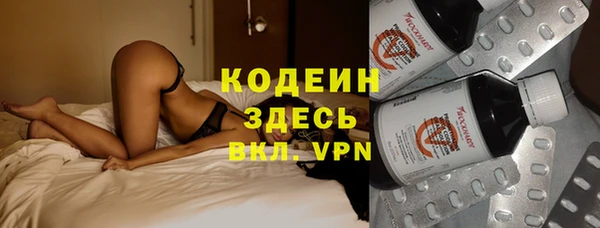 гашик Пересвет