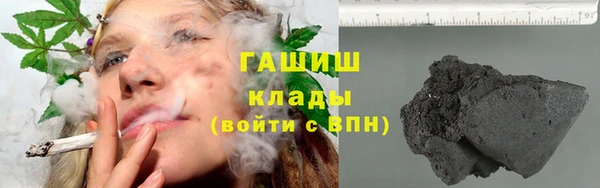 гашик Пересвет