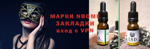 гашик Пересвет