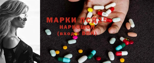 гашик Пересвет