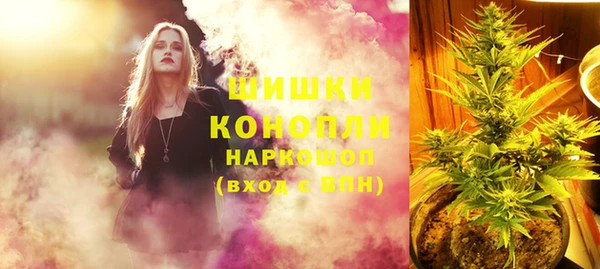 гашик Покровск