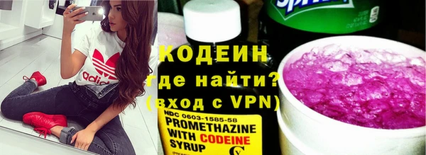 гашик Пересвет