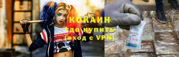гашик Покровск