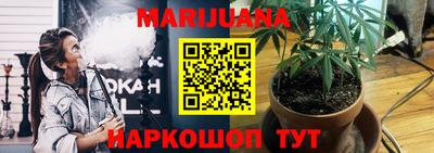 прущие грибы Заводоуковск