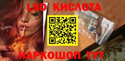 прущие грибы Заводоуковск