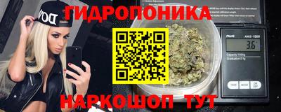 прущие грибы Заводоуковск