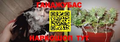 ПСИЛОЦИБИНОВЫЕ ГРИБЫ Заволжье
