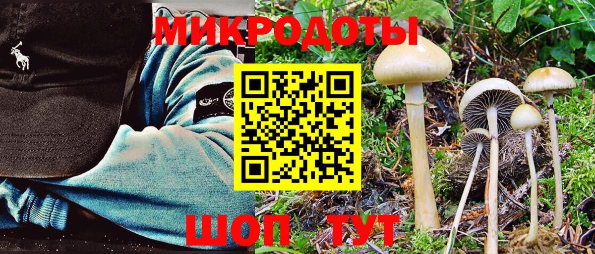 Галлюциногенные грибы Cubensis Находка